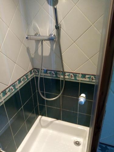 une douche avec un tuyau dans une salle de bain dans l'établissement Grand meublé 70 m2 centre-ville proche lac, à Annecy