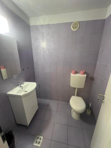 a bathroom with a toilet and a sink at Hotel Le Baron in Timişoara