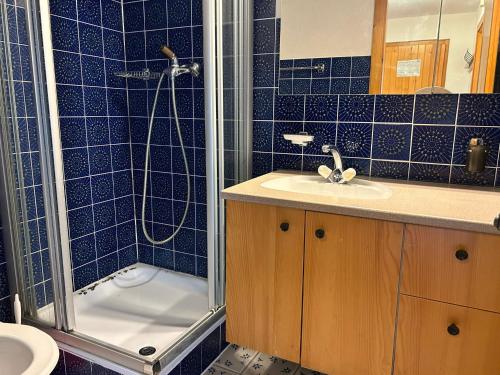 a bathroom with a shower and a sink and a toilet at Diablerets D 010 -MOUNTAIN apartment 6 pers in Veysonnaz