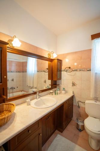 Gaia Celeste Cozy 2 Bedroom Apartment near Ioannina Center