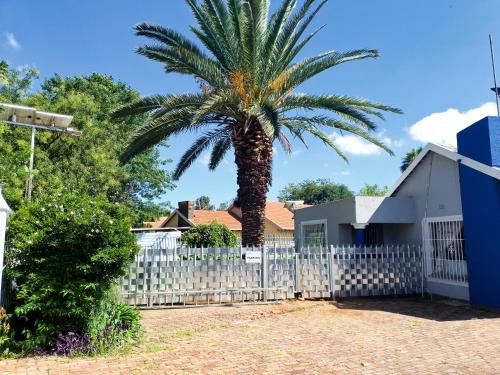a palm tree in front of a white fence at Inn-Finity Empire in Witfield