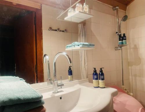 un baño con lavabo y espejo en Dharma Farm Retreat, en Mijoux