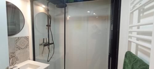 une salle de bain avec une douche avec un lavabo et un miroir dans l'établissement Clisson duplex dans quartier plein de charme, à Clisson