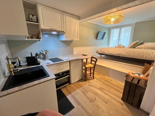 Il comprend une cuisine et une chambre avec des lits superposés. dans l'établissement Studio BROSSARD 2pers Tv and Wifi, à Nantes