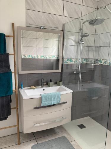une salle de bain avec un lavabo et une douche dans l'établissement Maison cosy Futuroscope, à Jaunay-Clan