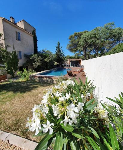 un jardin avec des fleurs blanches et une piscine dans l'établissement La cigale et la fourmi, à Nîmes