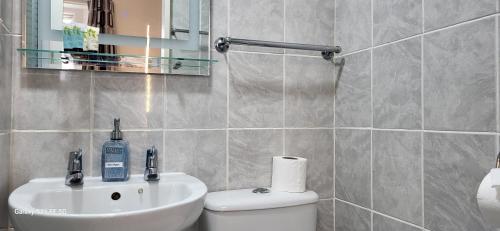 a bathroom with a sink and a toilet and a mirror at Holly Lodge in Weston-super-Mare