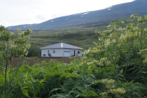 a white building in the middle of a field at Granastaðir Guesthouse in Granastaðir