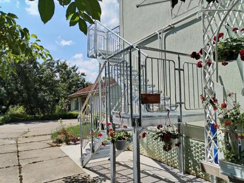 Cinege magánszállás