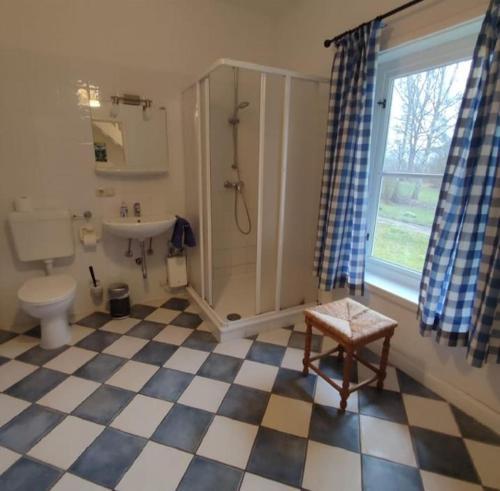 a bathroom with a shower and a toilet and a sink at Ferien in Troja in Lärz