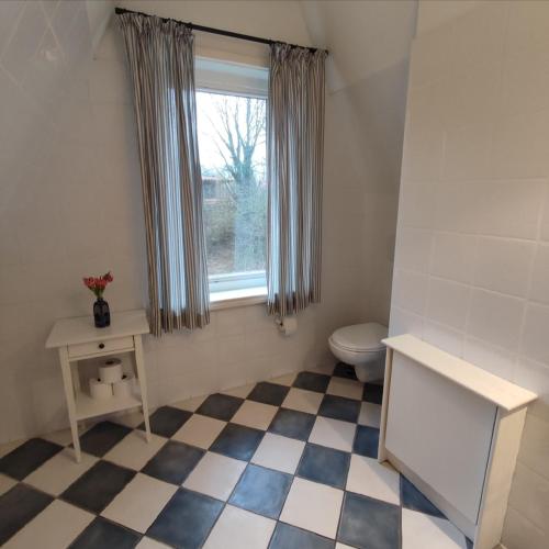 a bathroom with a toilet and a window at Ferien in Troja in Lärz