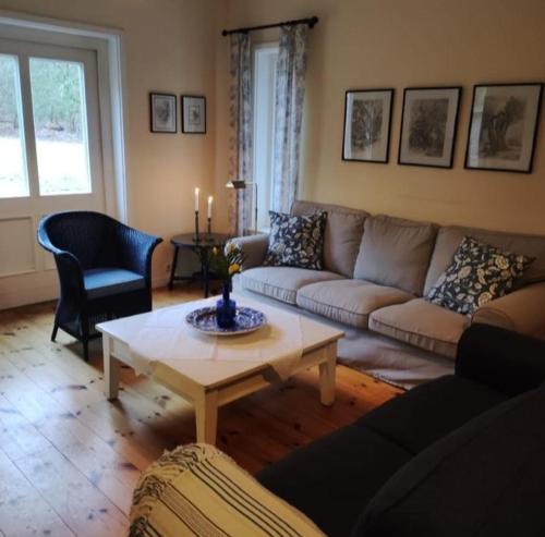 a living room with a couch and a coffee table at Ferien in Troja in Lärz