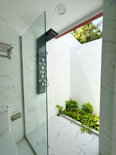 a bathroom with a shower with a glass door at Paradise Palms - Guest House in Thoddoo