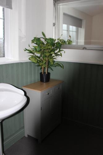 a bathroom with a potted plant on top of a cabinet at Beautiful 7 Bedroom House With Hot Tub Sleeps 14 in Great Ouseburn