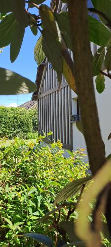 Jolie villa 700 m de la plage et des commerces, 120m2, 3 chambres