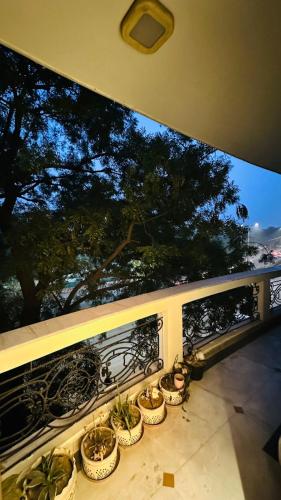a group of potted plants sitting on a wall at Luxury HomeStay Prime Location, South Delhi in New Delhi