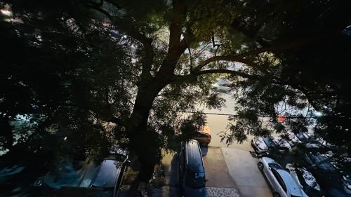 a tree with cars parked in a parking lot at Luxury HomeStay Prime Location, South Delhi in New Delhi