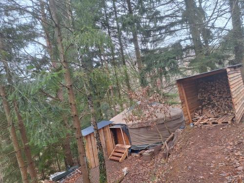 a pile of wood next to a tent in the woods at Jurte für naturliebhaber in Dernbach