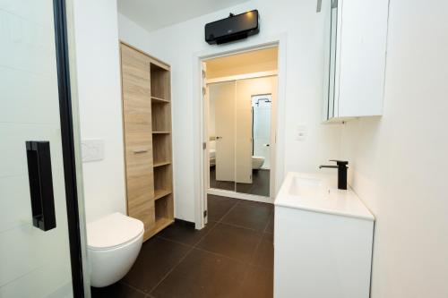 a bathroom with a white toilet and a sink at Zeedijk 237 Middelkerke in Middelkerke