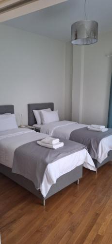 Xenia's Elegant Acropolis Suite