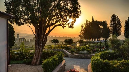 a tree in a garden with a sunset in the background at Dimora Ghirlandaio in Impruneta