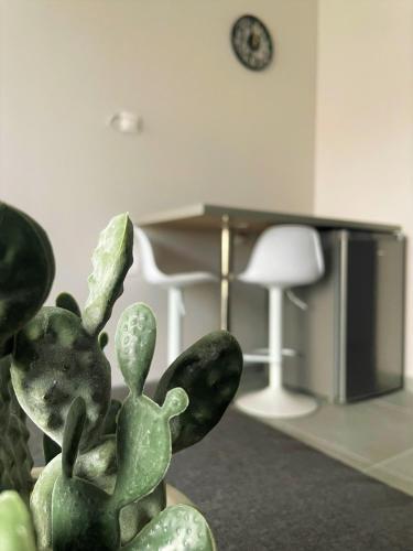 a green cactus plant in a room with a desk at Panorama Sunvilles Apartment 3 in Thessaloniki