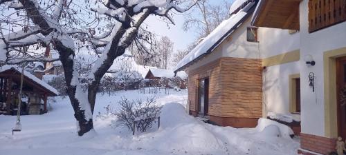 a house covered in snow next to a tree at Selina in Janske Lazne