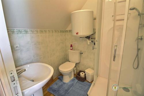 une petite salle de bain avec toilettes et lavabo dans l'établissement Stable cottage, à Pleudihen-sur-Rance