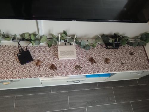 a table with a tv and plants on it at Azure Sands Golem in Golem