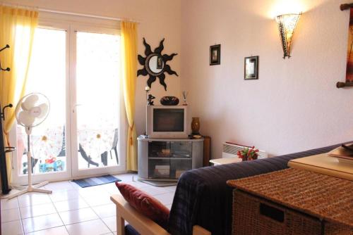 un salon avec un canapé et une télévision dans l'établissement SP480-191 Mais 2 pièces mezzanine SAINT PIERRE LA MER, à Saint Pierre La Mer