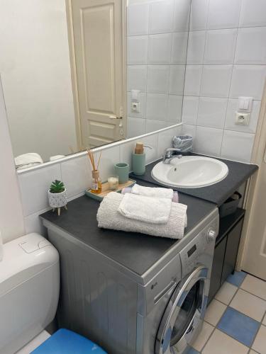 une salle de bain avec un lavabo et une machine à laver dans l'établissement Appartement cosy avec jardin proche centre ., à La Rochelle