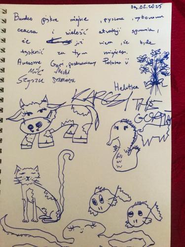 a drawing of cats and animals in a notebook at gaydi in Gori