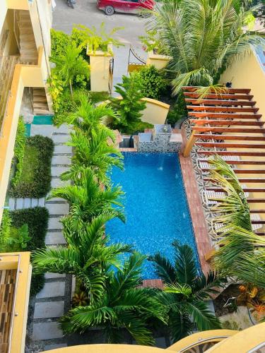an overhead view of a swimming pool with palm trees at Sorenzo Maldives in Thoddoo