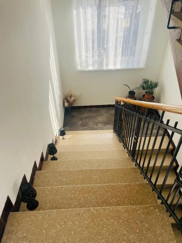 a stairway with stairs with cats sitting on it at Labela Luhačovice Apartment in Luhačovice