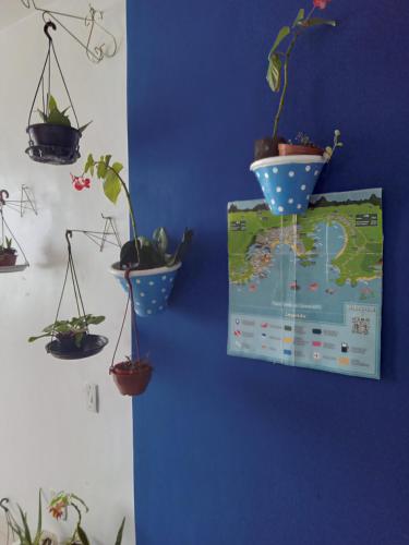 a blue wall with potted plants and a map at Kitnet da Maria in Guarapari