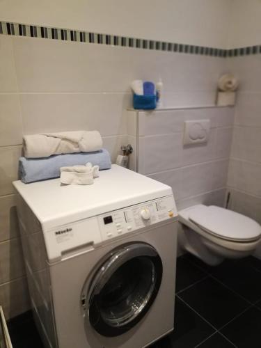eine Waschmaschine in einem Badezimmer mit Toilette in der Unterkunft Stylish & Spacious Apartment with Patio in Stams