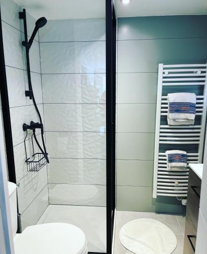 une salle de bain avec douche et toilettes dans l'établissement Cabanon vue mer L ilette Niolon Côte bleue, à Le Rove