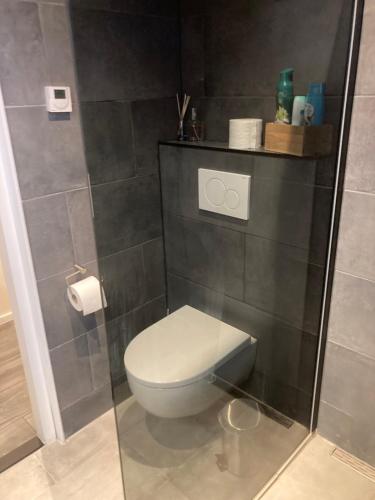 a bathroom with a toilet and a shower stall at Bed & Breakfast ‘t Westergouwertje in Gouda
