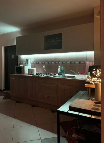 a kitchen with a sink and a counter top at Casa Anamaria in Baile Felix
