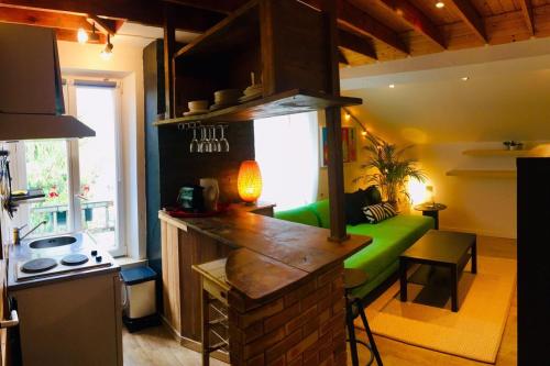- une cuisine avec un canapé vert dans une chambre dans l'établissement Apartment Saclay 2 near HEC, Versailles, à Saclay