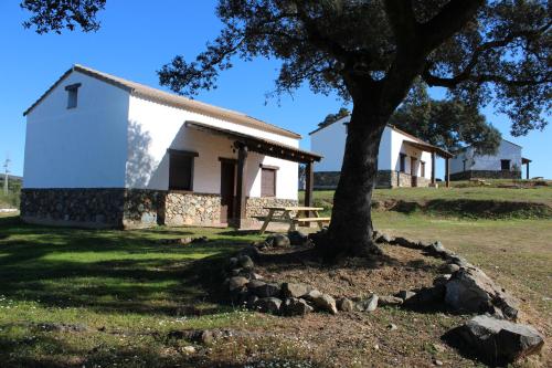 エル・カスティージョ・デ・ラス・グアルダスにあるAlojamiento Rural 'al Muniat'の前に木がある建物