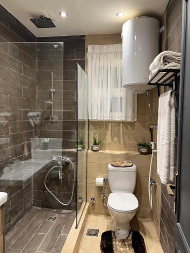 a bathroom with a toilet and a glass shower at Unique villa in madinaty in Madinaty