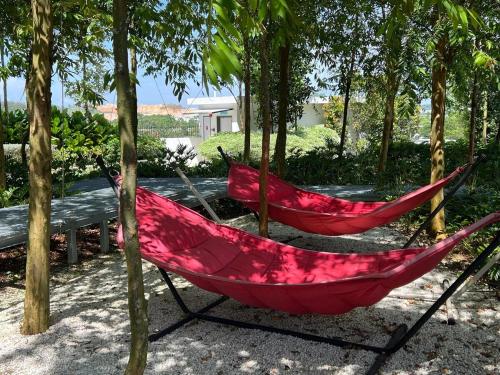 Κήπος έξω από το La Dimora Guesthouse