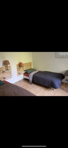 - une chambre avec 2 lits et une lampe dans l'établissement Maison charmante bordée de bambous, à Auffargis