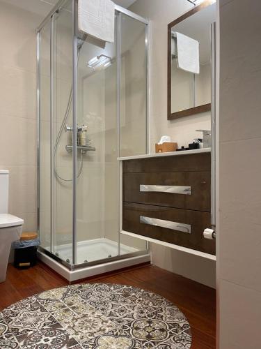 een glazen douche in de badkamer met een tapijt bij Apartamento Balcón a la Basílica del Pilar in Zaragoza