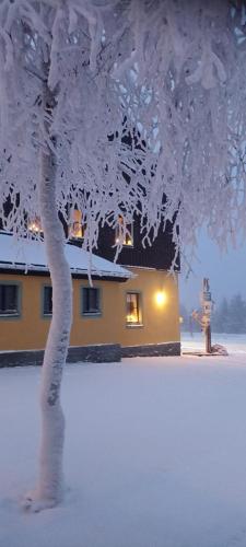 a tree covered in snow in front of a house at Berggasthof Neues Haus in Kurort Oberwiesenthal