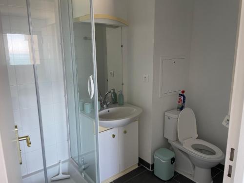 ein Badezimmer mit Dusche, Toilette und Waschbecken in der Unterkunft la voile de mer - studio tout confort proche plage in La Rochelle