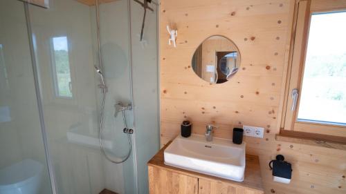 a bathroom with a sink and a shower at Holzhaus am Bergheider See in Buschmühle