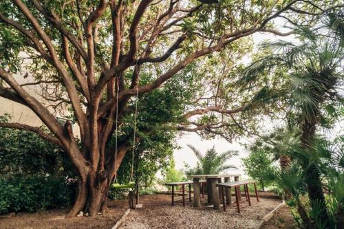 a group of picnic tables under a tree at Villa Šoti in Mlini