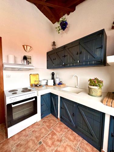 Kuchyň nebo kuchyňský kout v ubytování Αλσύλλιο - Alsillio studio apartments
